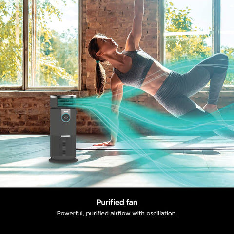 Shark Purificateur d'air 3-en-1 avec filtre HEPA HC450C - Boîte ouverte